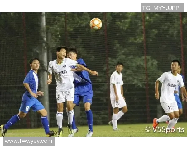 武汉极限运动队在世界杯中的灵活性表现与突破性进展分析