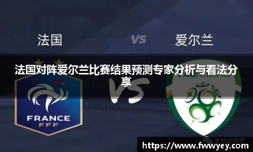 法国对阵爱尔兰比赛结果预测专家分析与看法分享